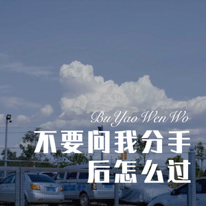 看遍这世界最后遇见你 (Remix)