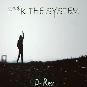 **** the System (Explicit)