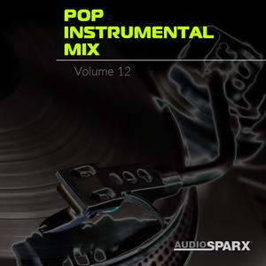 Pop Instrumental Mix Volume 12