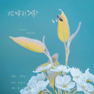 招蜂引蝶