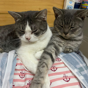 早已不是那小屁孩来