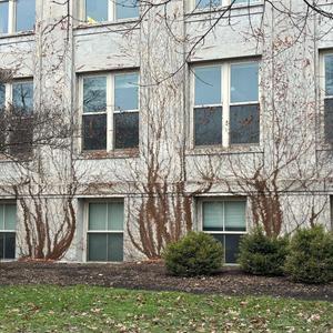 Lower Depot Flow (Explicit)