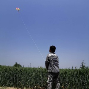 又是一年麦穗黄 (Demo)