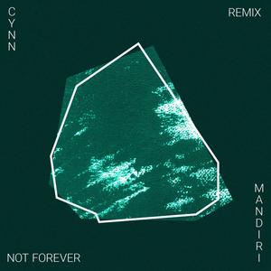 Not Forever (Mandiri Remix)
