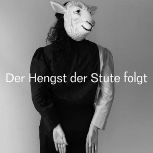 Der Hengst der Stute folgt