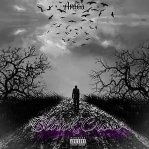 Chasin da Rabbit (feat. Madcap) (Explicit)