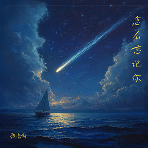怎么忘记你 (伴奏)