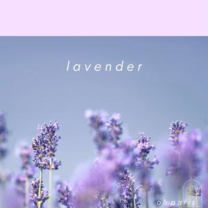 lavender