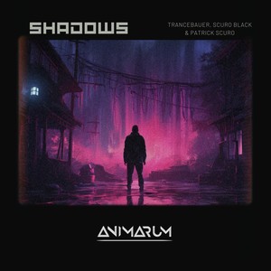 Shadows (Extended Mix)