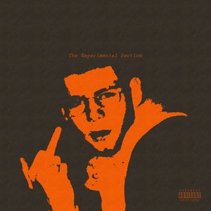 The Experimental Section (Explicit)
