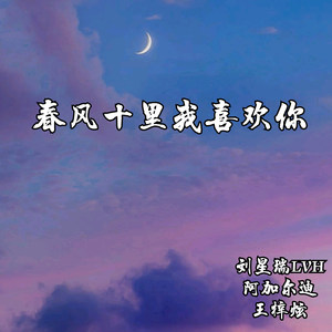 王牌飞行员申请出战