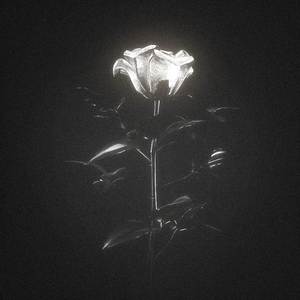 Dreams and Nightmares (Instrumental)