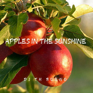 Apples In The Sunshine