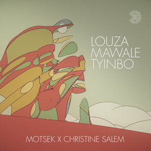 Christine Salem - Louza