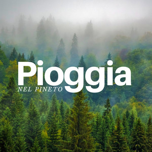 Pioggia nel Pineto - Canzoni naturali per relax prime