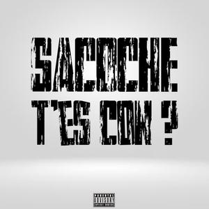 SACOCHE, T'ES CON? (feat. Jaymee) (Explicit)