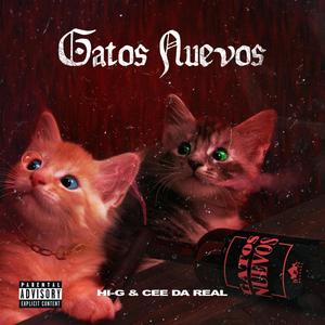 Gatos Nuevos (Explicit)