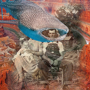 Episodio 15 (Segunda Temporada)