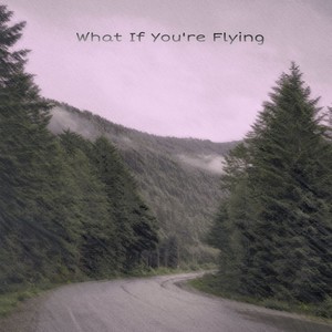 What If You're Flying