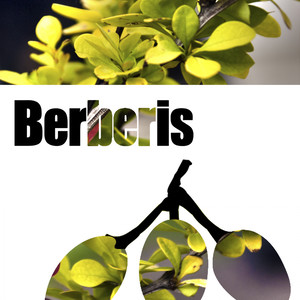 Blinders (Original Mix)