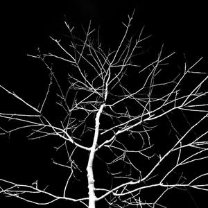 After hours interlude