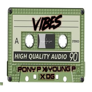 Vibes(feat. Young P & DG) (Explicit)