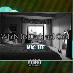 Everyday(feat. GTEE & Priddy Flash) (Explicit)