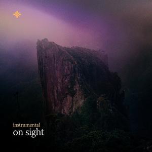 on sight (no/vox’s version)