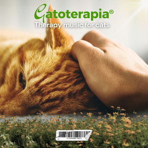 Nana of the Anxious Cat