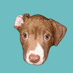 Groovy Nightmare (feat. Mike Noordzy, Chris Welcome, Ian Gray, Ryan Gregg & Michael Winnicki)