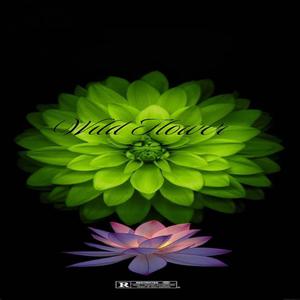 Trials Tribulations (Explicit)