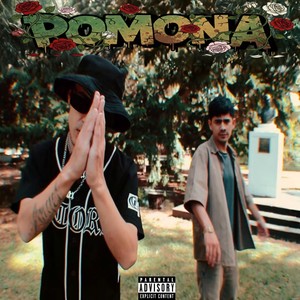 POMONA (Explicit)