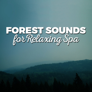 Forest Sounds for Relaxing Spa