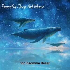 Overnight Calm: Binaural Waves Journey