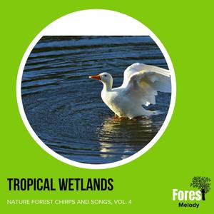 Tropical Wetlands - Nature Forest Chirps and Songs, Vol. 4