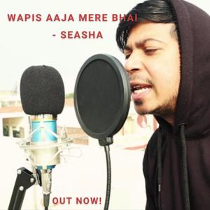 Wapis Aaja Mere Bhai