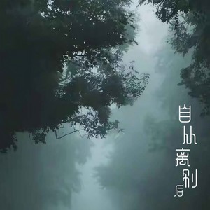 自从离别后 (女声版)