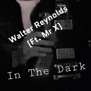 In The Dark (feat. Mr X)