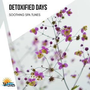 Detoxified Days - Soothing Spa Tunes