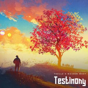 Testimony (feat. Maikon West)