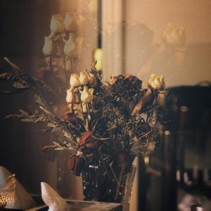 Find Me on an Island(feat. Anu Mysore)(VIP)