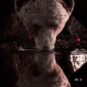 Locations (Explicit)