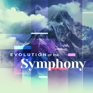 Evolution of the Symphony - Symphony No. 2 in D Major, Op. 73: II. Adagio non troppo