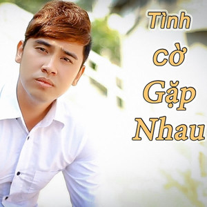 Tình Cờ Gặp Nhau