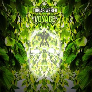 Voyage (Original Mix)