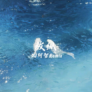 放纵 (DJ阿智Remix)