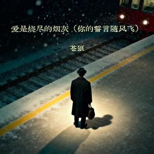 爱是烧尽的烟灰 (你的誓言随风飞)封面