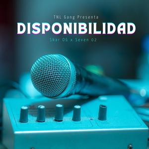 Disponibilidad (feat. SkarDaBadBoyz)