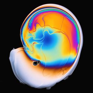 Brand New Day (feat. Rachel Fridkin, Hustie & Pipyopi)