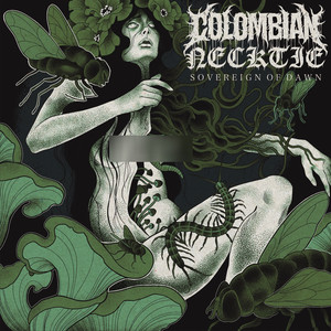 Colombian Necktie - Colony